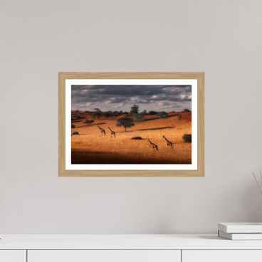 15 x 10″, S+M Oak Frame + Border SYMPHONY OF SILENCE