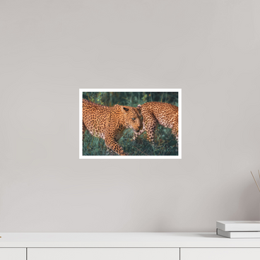12 x 8″, S Print UNTAMED OPULENCE