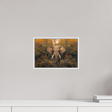12 x 8″, S+M White Floater Frame Revelation