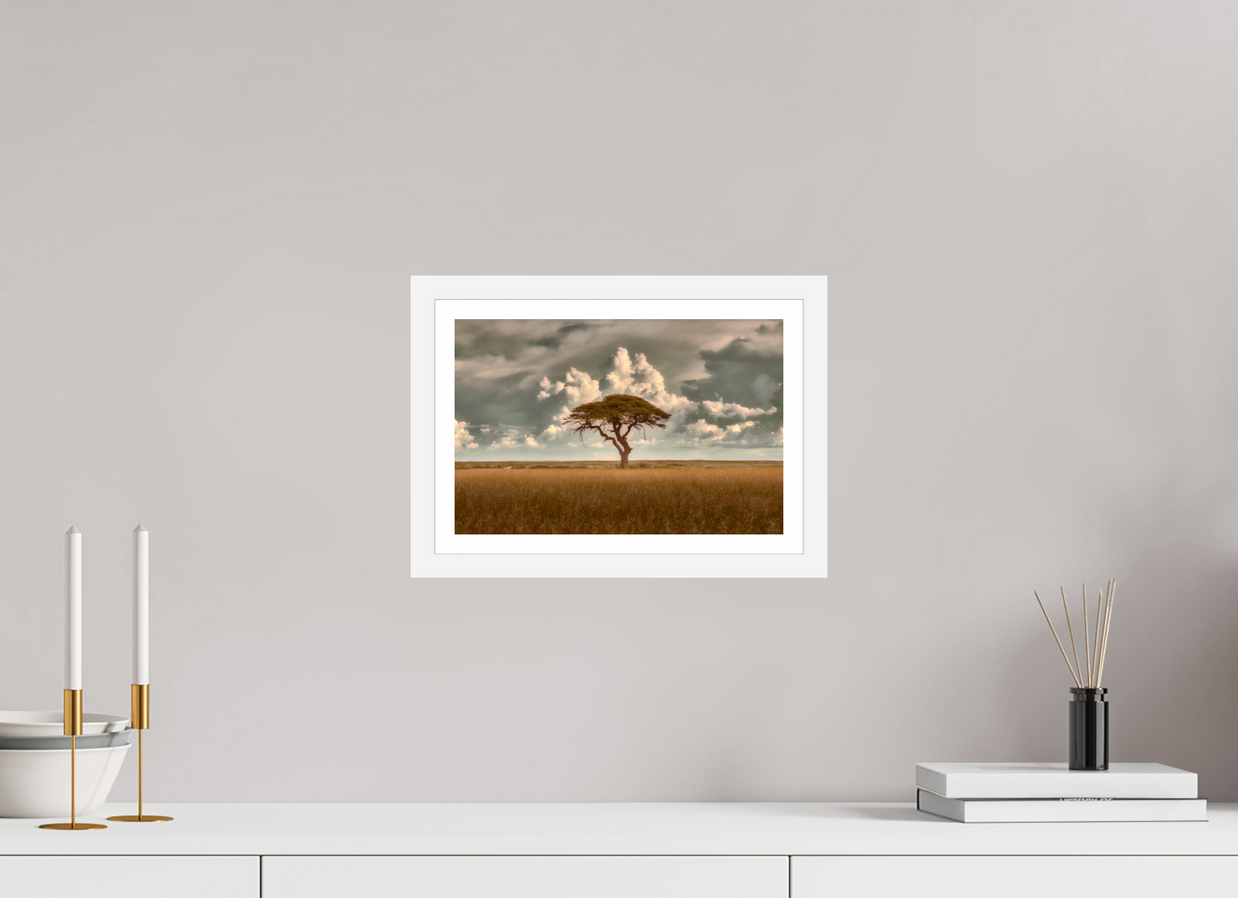 12 x 8″, S+M White Frame + Border STRUCTURED CHAOS