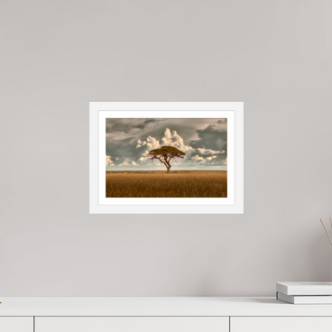 12 x 8″, S+M White Frame + Border STRUCTURED CHAOS