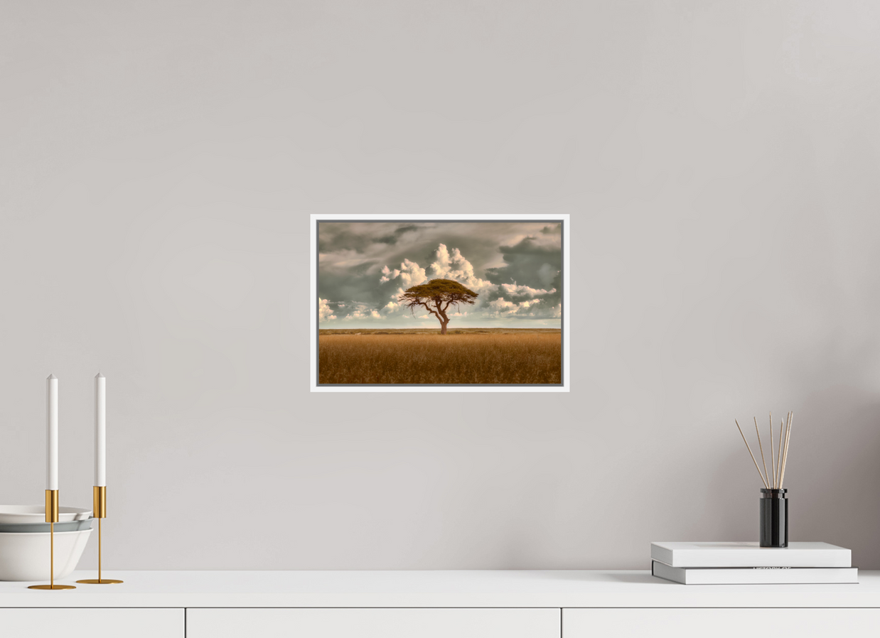 12 x 8″, S+M White Floater Frame Structured Chaos