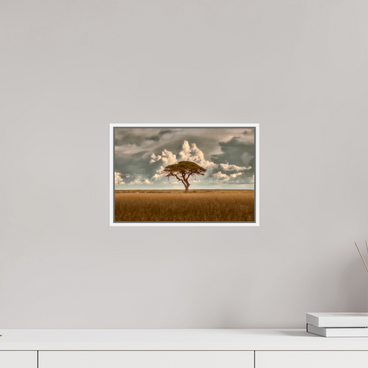 12 x 8″, S+M White Floater Frame Structured Chaos