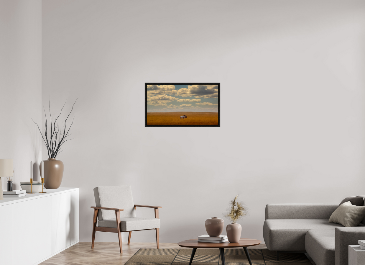 32 x 18″, M L black Floater Freedom of Exposure