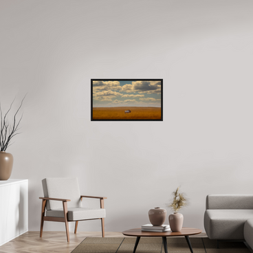 32 x 18″, M L black Floater Freedom of Exposure