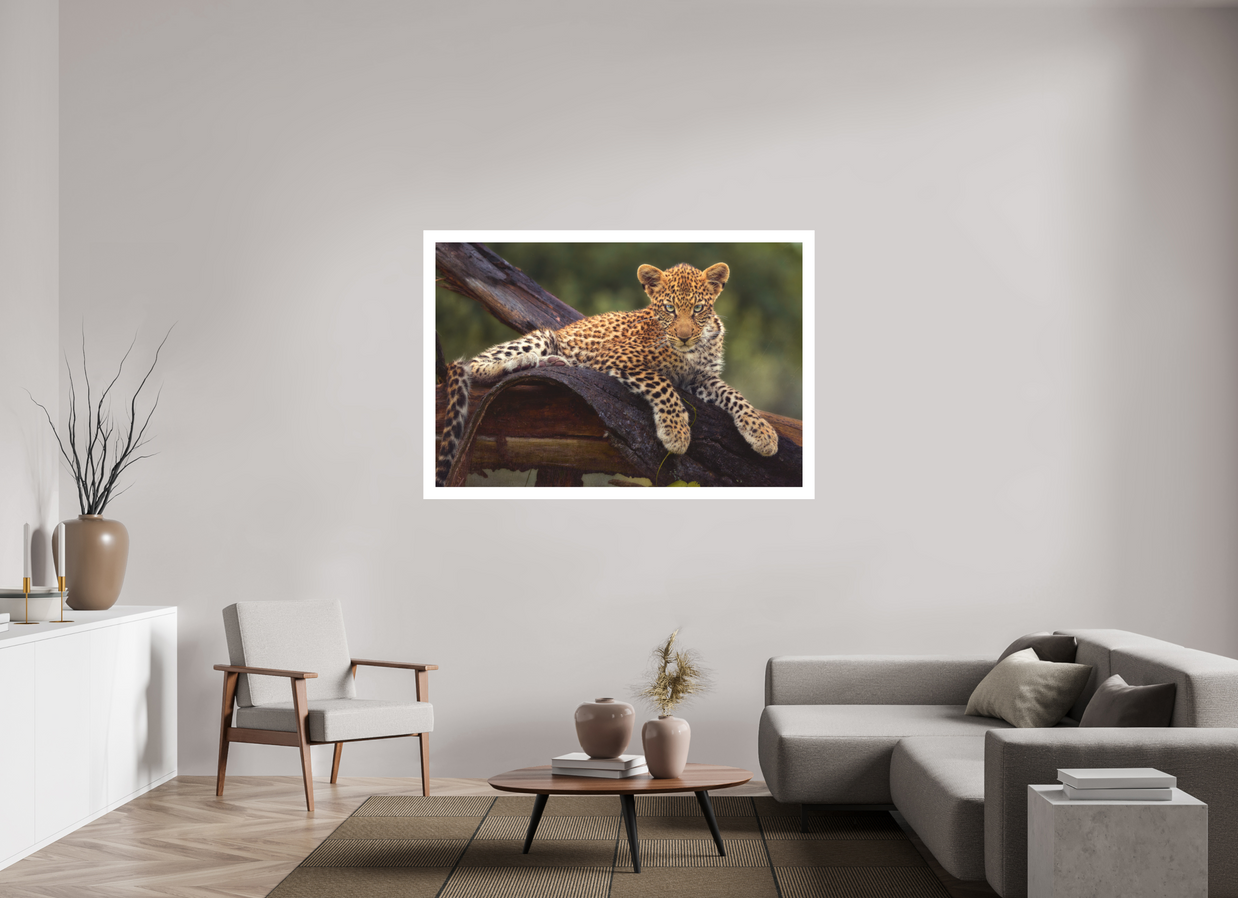 60 x 40″, XL + Exhibition Print BEFORE KNOWING