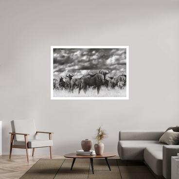 60 x 40″, XL + Exhibition Print MYSELF IN THE MANY
