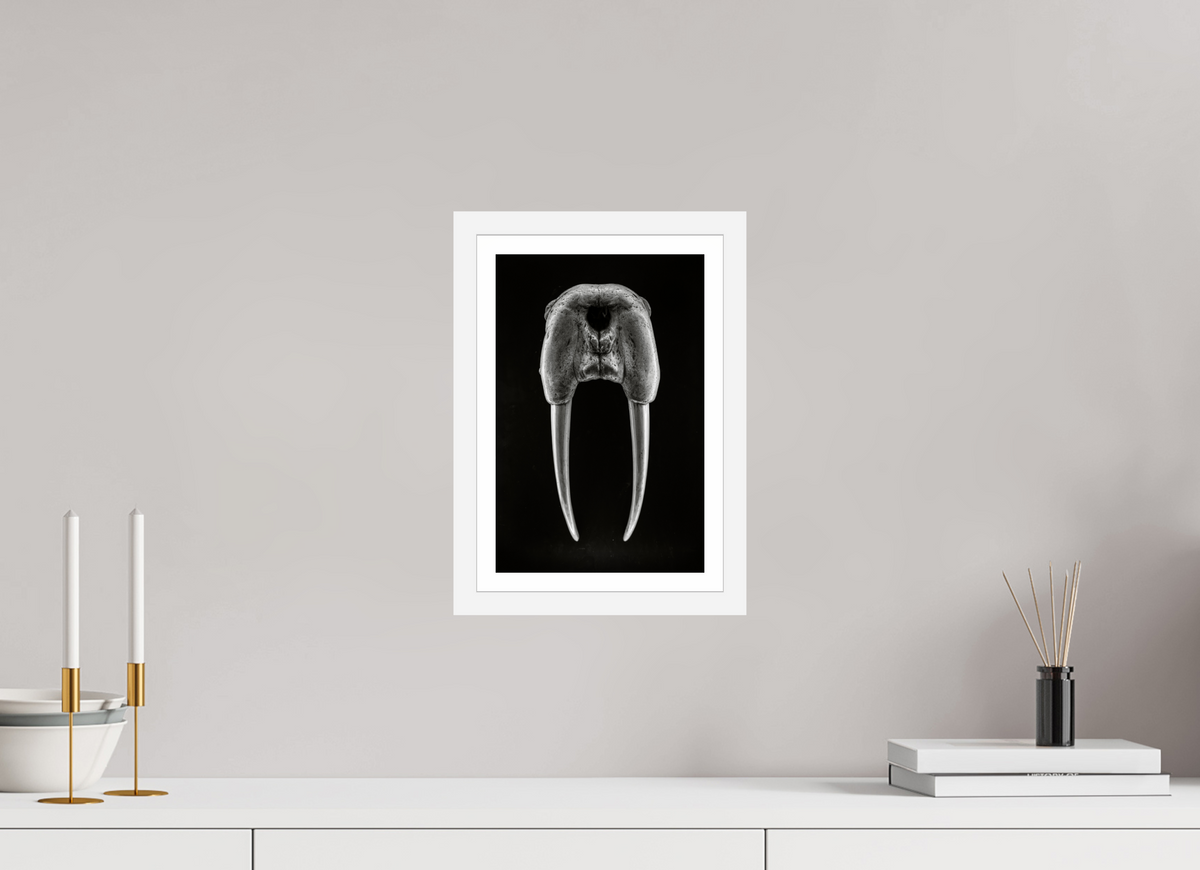 8 x 12″, S+M White Frame + Border DENTAL PLAN