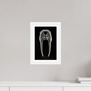 8 x 12″, S+M White Frame + Border DENTAL PLAN