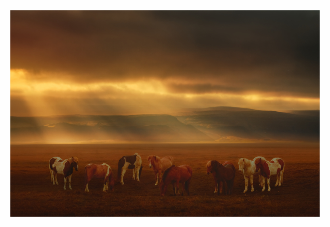 Main image Meeting Between Storms