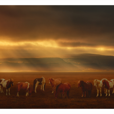 Main image Meeting Between Storms