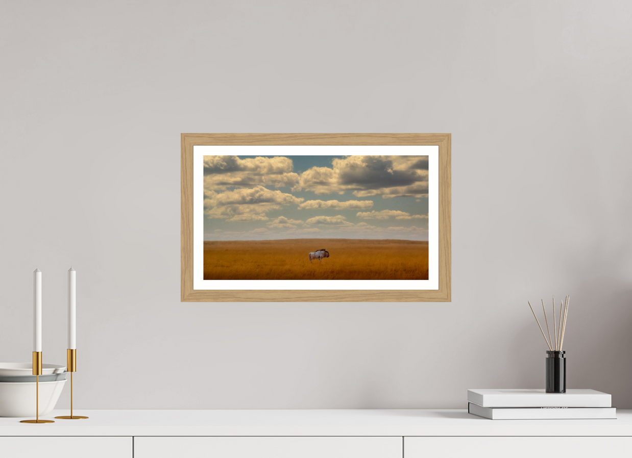 16 x 9″, S+M Oak Frame + Border FREEDOM OF EXPOSURE