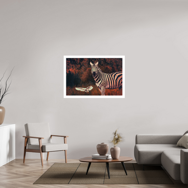 45 x 30″, XL + Exhibition Print PASSING THROUGH