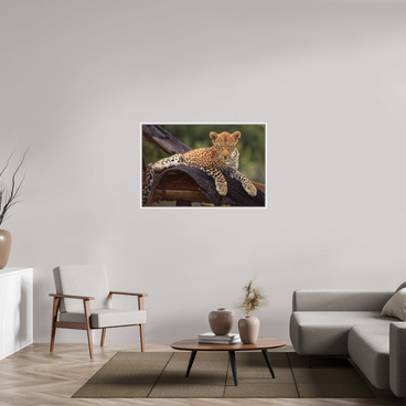 45 x 30″, L+XL White Floater Frame Before Knowing