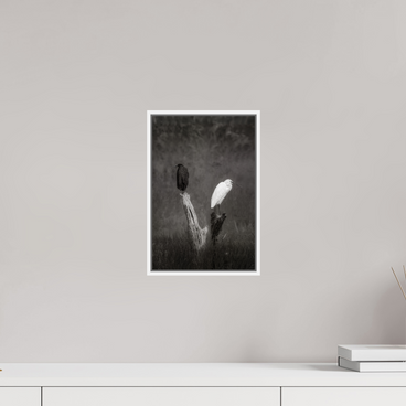 8 x 12″, S+M White Floater Frame TWO TRUTHS