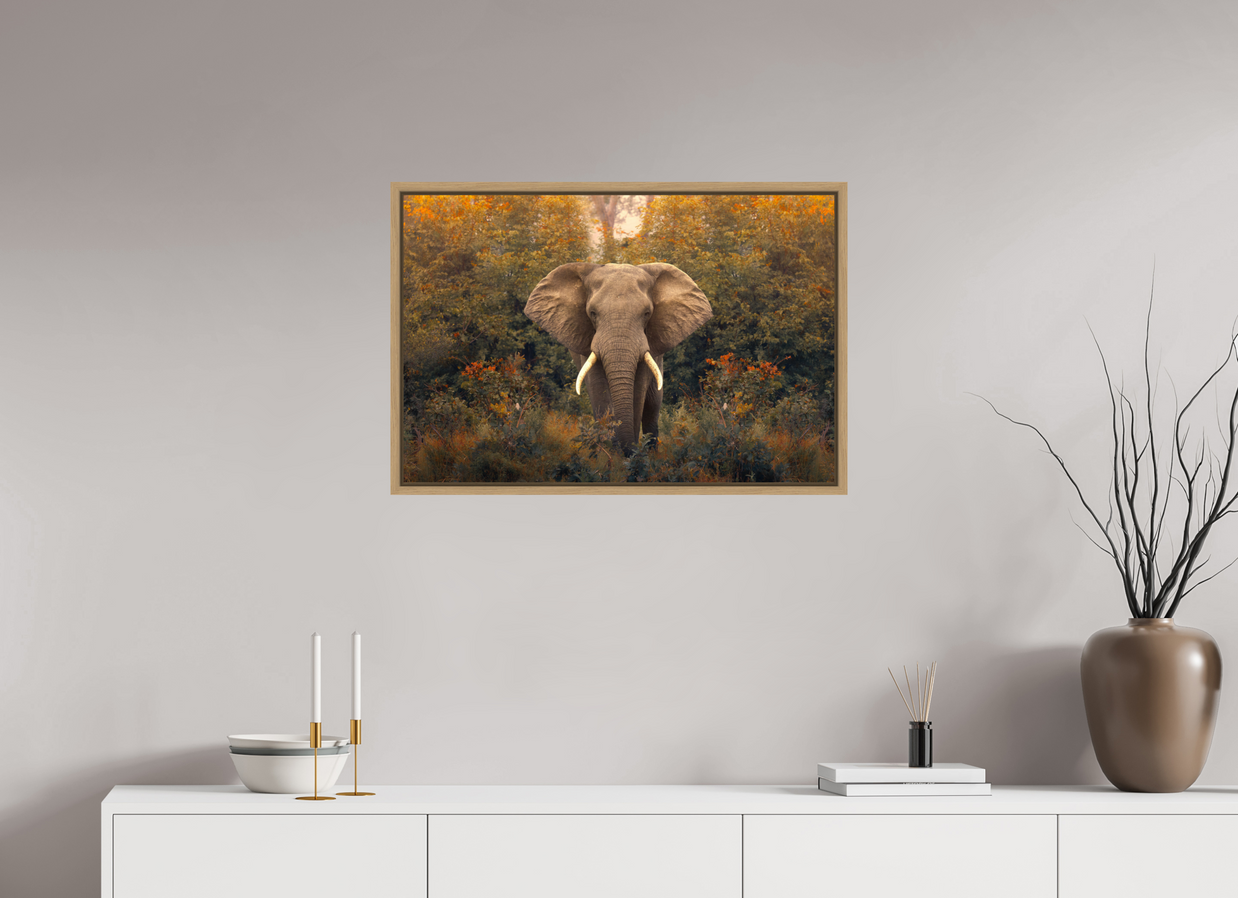 30 x 20″, L+XL Oak Floater Frame Revelation