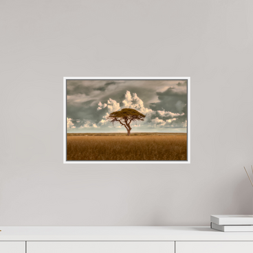 15 x 10″, S+M White Floater Frame Structured Chaos