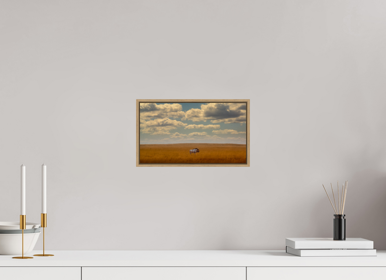 12 x 6.8″, S+M Oak Floater Frame Freedom of Exposure