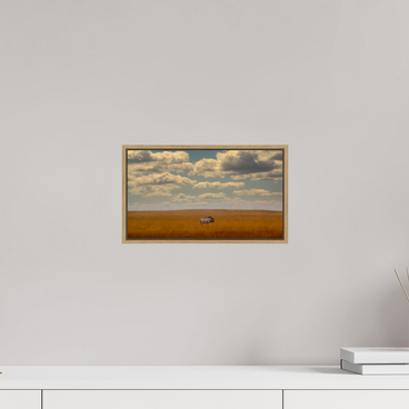 12 x 6.8″, S+M Oak Floater Frame Freedom of Exposure