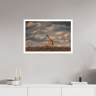 30 x 20″, L Print LINEAGE
