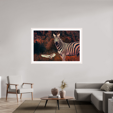 60 x 40″, Exhibition White Maple Frame + Border PASSING THROUGH