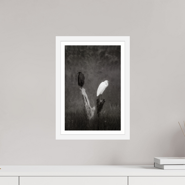 10 x 15″, S+M White Frame + Border TWO TRUTHS