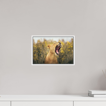 12 x 8″, S+M White Floater Frame Uncontained