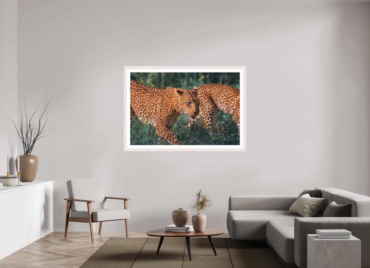 60 x 40″, Exhibition White Maple Frame + Border UNTAMED OPULENCE