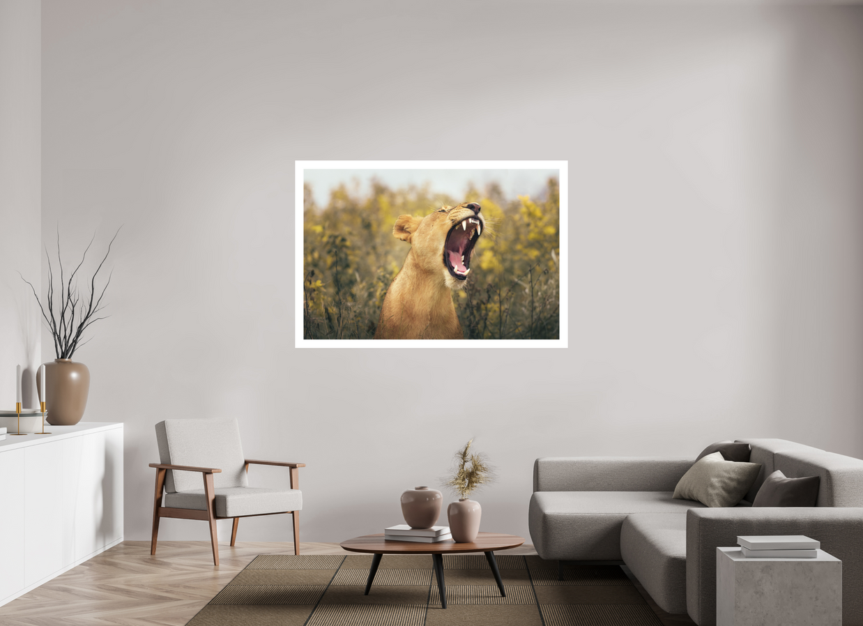 60 x 40″, XL + Exhibition Print UNCONTAINED