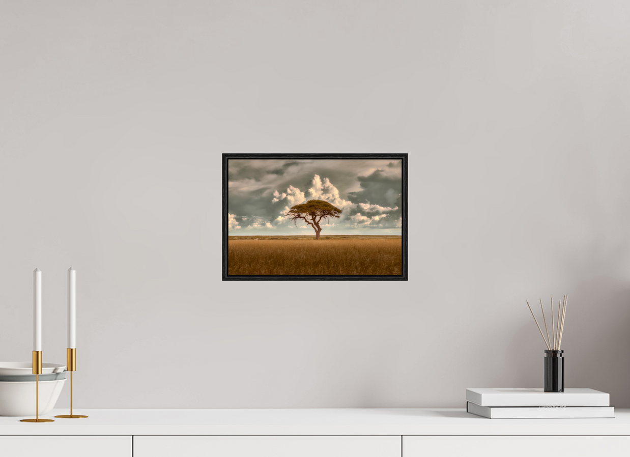 12 x 8″, S+M Black Floater Frame Structured Chaos