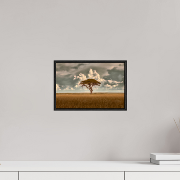 12 x 8″, S+M Black Floater Frame Structured Chaos