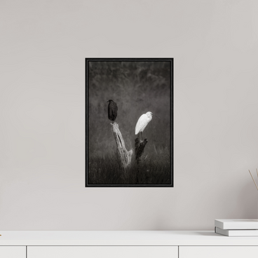 10 x 15″, S+M Black Floater Frame TWO TRUTHS