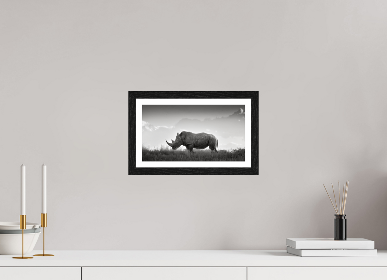 12 x 6.8″, S+M Black Frame + border ANCIENT GRAVITY