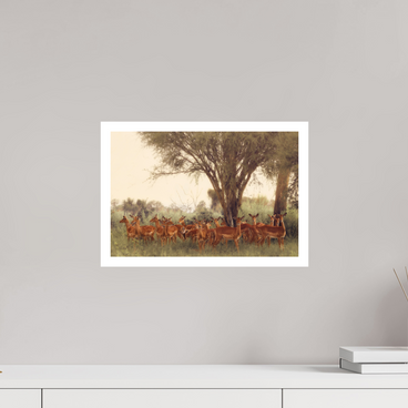 15 x 10″, M Print THE FIELD FEELS