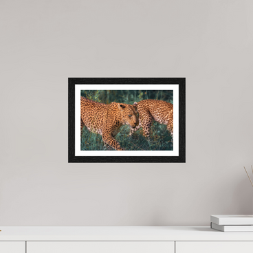 12 x 8″, S+M Black Frame + border UNTAMED OPULENCE