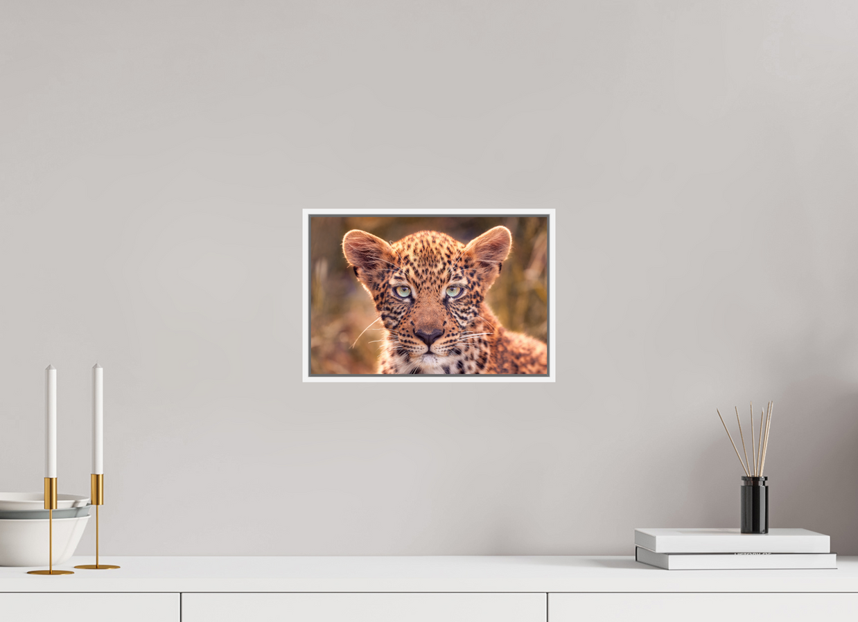 12 x 8″, S+M White Floater Frame SEEN