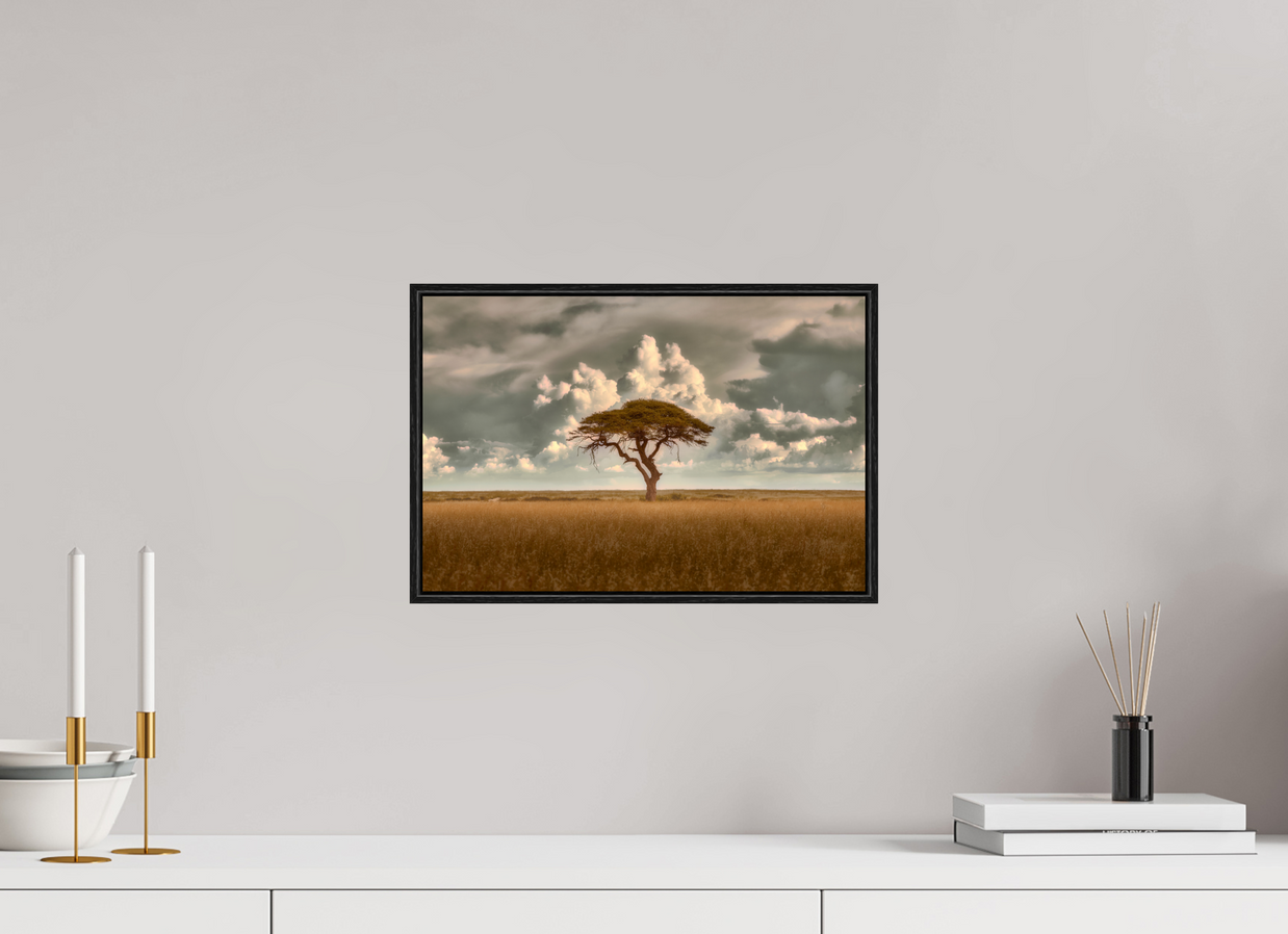 15 x 10″, S+M Black Floater Frame Structured Chaos