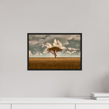 15 x 10″, S+M Black Floater Frame Structured Chaos