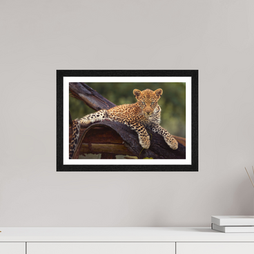 15 x 10″, S+M Black Frame + border BEFORE KNOWING