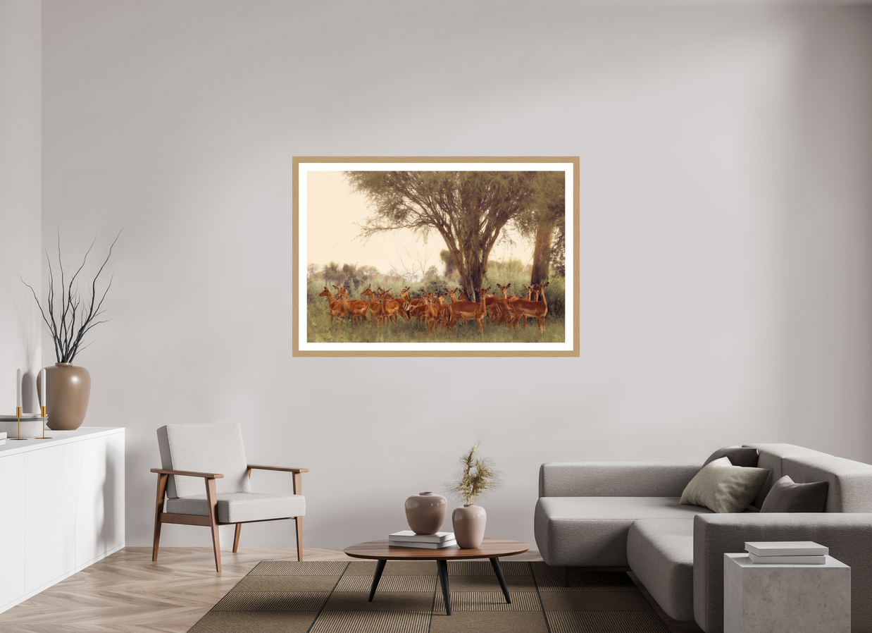 60 x 40″, Exhibition Oak Frame + Border THE FIELD FEELS