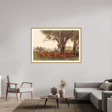 60 x 40″, Exhibition Oak Frame + Border THE FIELD FEELS