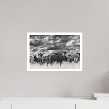15 x 10″, M Print MYSELF IN THE MANY