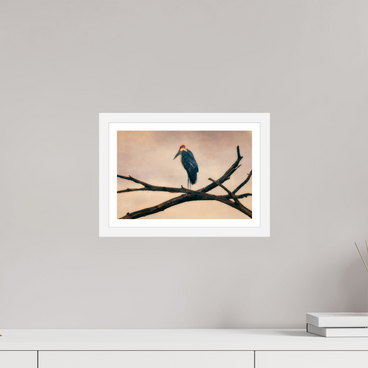 12 x 8″, S+M White Frame + border The Last Witness