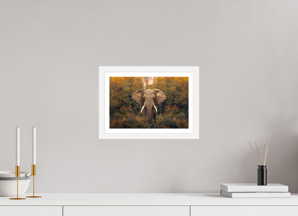 12 x 8″, S+M White Frame + Border REVELATION