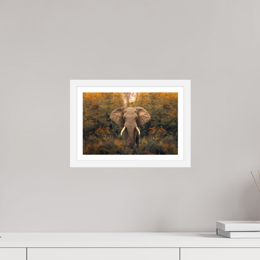 12 x 8″, S+M White Frame + Border REVELATION