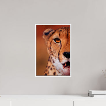 10 x 15″, S+M White Floater Frame As It Is