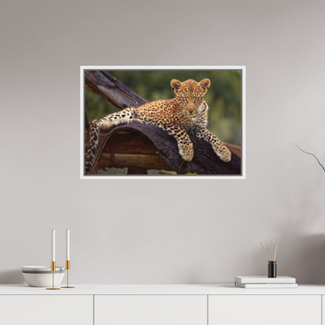 30 x 20″, L+XL White Floater Frame Before Knowing