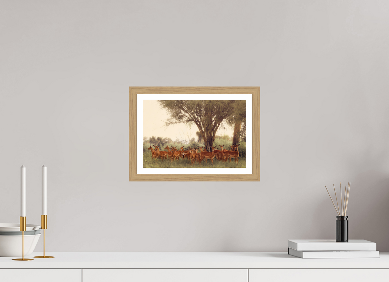 12 x 8″, S+M Oak Frame + Border THE FIELD FEELS