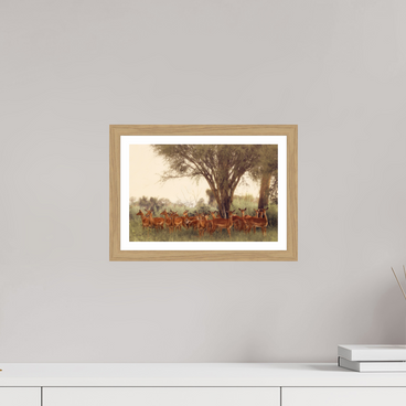 12 x 8″, S+M Oak Frame + Border THE FIELD FEELS