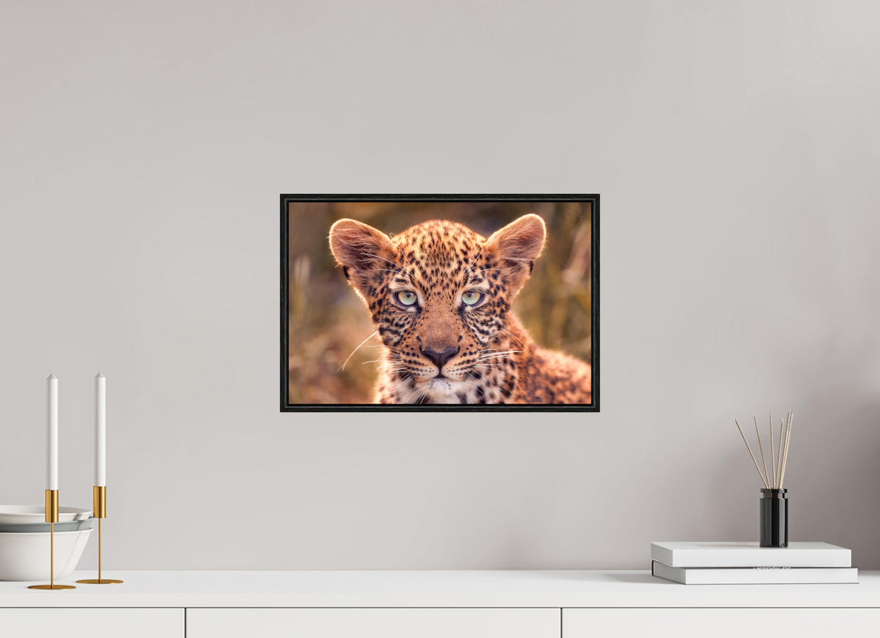 15 x 10″, S+M Black Floater Frame SEEN
